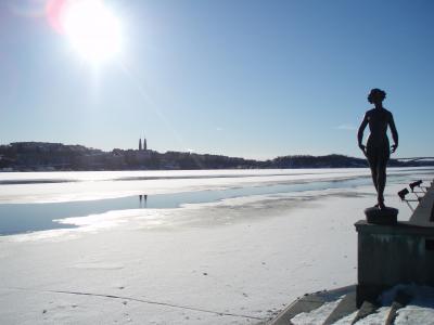 20080307185113-p2270037.jpg